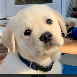 Fundraising Page: In Memory of Linda Hauck